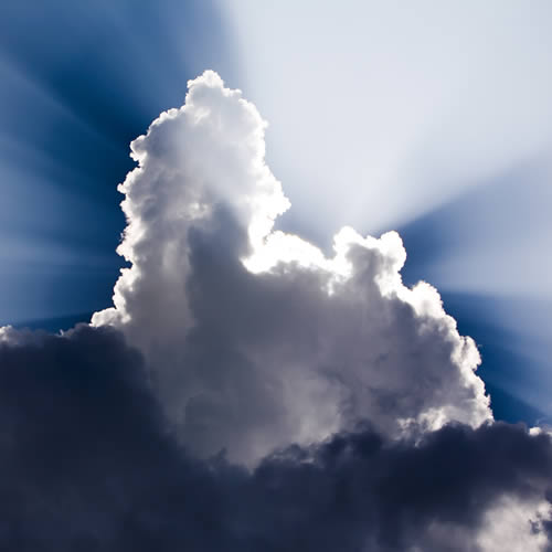 Lockdown. Is there a silver lining for business?