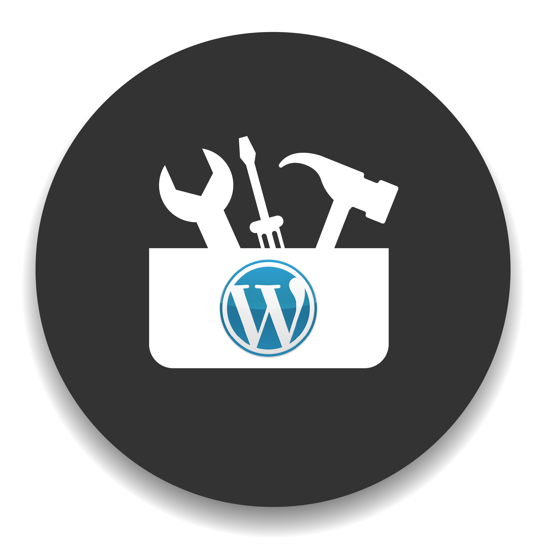 WordPress – The right tool for your website
